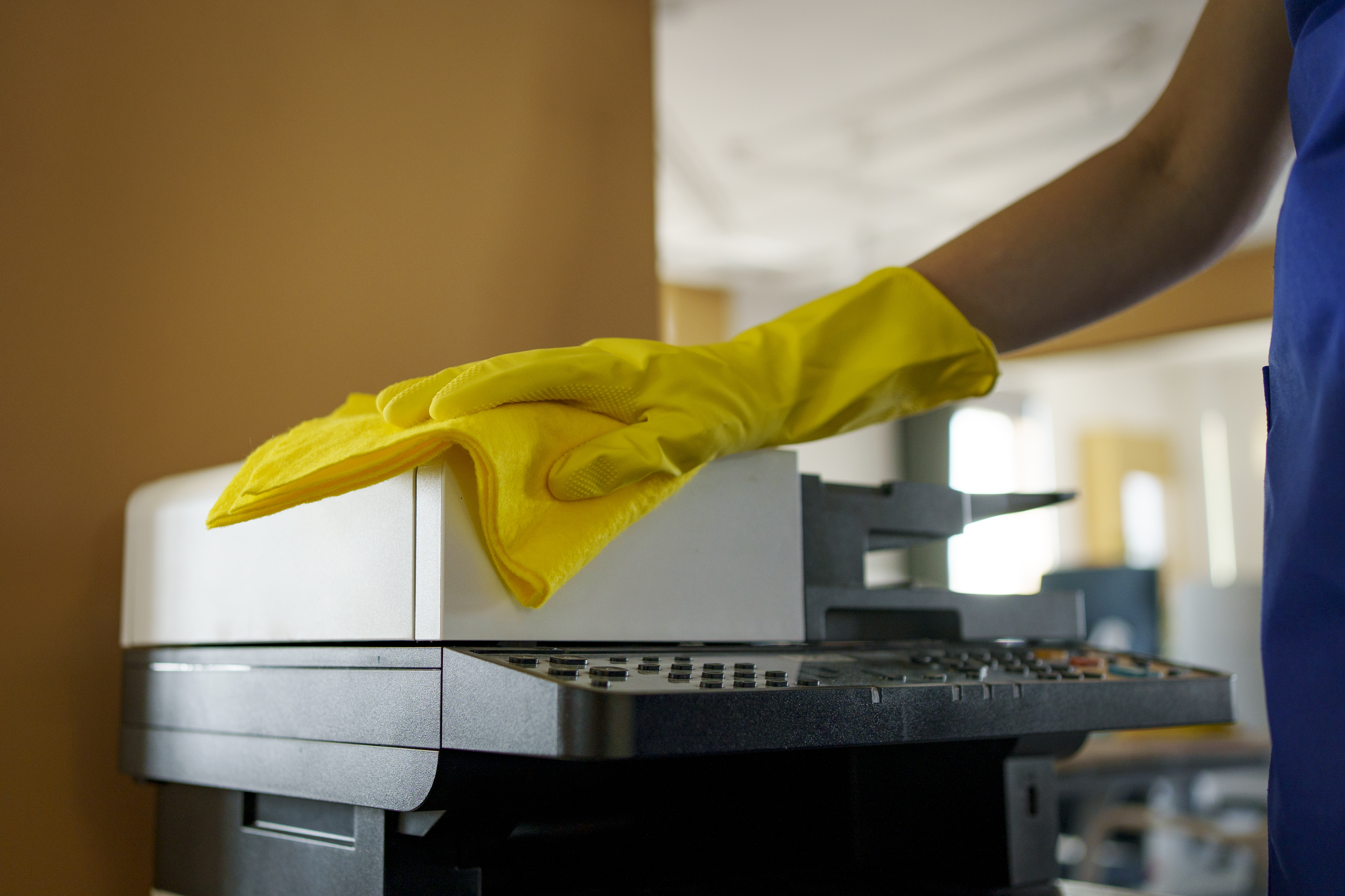 Move In/Out Cleaning